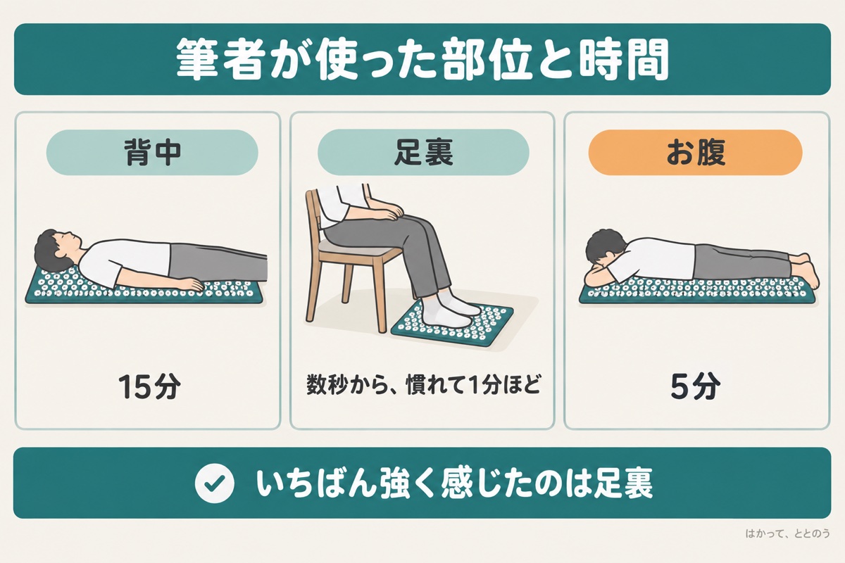 筆者が使った部位と時間。背中15分、足裏は最初数秒で慣れてから1分ほど、お腹はうつ伏せで5分。足裏がいちばん強く感じた